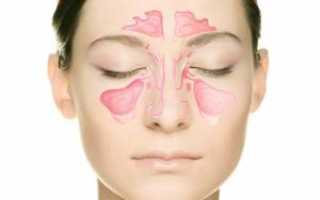 Клиническая анатомия полости носа. Кровоснабжение носа и околоносовых пазух Вены полости носа