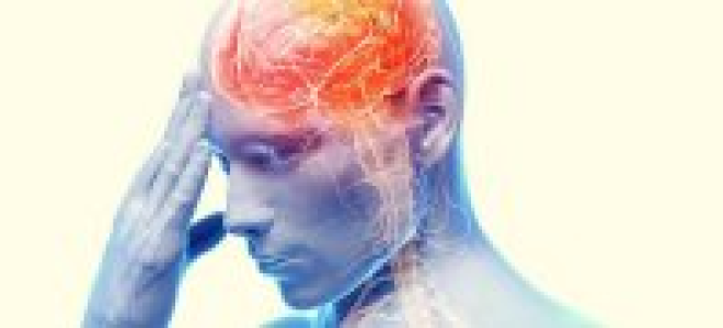 Стимуляторы памяти и мозговой активности. Препараты улучшающие мозговое кровообращение и память