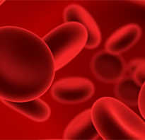 Лечение по группе крови. Питание по группе крови