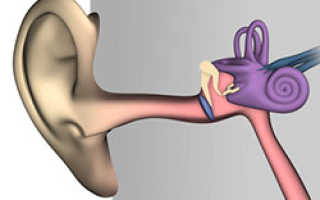 Катетеризация евстахиевой трубы. Способ лечения дисфункции слуховой трубы. Объективные методы исследования