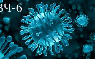 Герпес симплекс вирус 6 типа. Типы вируса герпеса (1,2,3,4,5,6,7,8): симптомы и лечение Skip to content