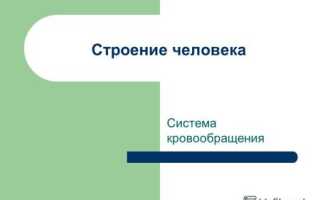 Скачать презентацию кровообращение. Система кровообращения