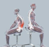 Что происходит с нашим телом, когда мы долго сидим. Долго сидеть – здоровью вредить Много сидишь что делать