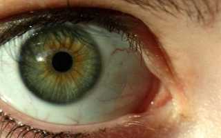 Зеленые глаза у женщин: значение цвета для характеристики личности. Значение зеленых глаз У каких людей зеленые глаза