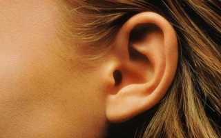 Анатомия среднего и внутреннего уха. Клиническая анатомия среднего уха. Особенности строения полукружных каналов