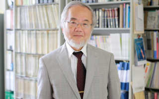 Методика голодания Есинори Осуми: польза аутофагии для организма. Японский ученый получил «Нобеля» за клеточное «самоедство Нобелевская премия японцу за открытие голодания