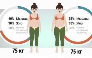 Нормальный процент жира в организме. Процент жира в организме: как узнать и для чего это нужно? Висцеральный жир норма в процентах