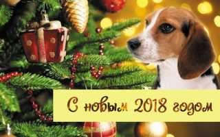Поздравительные открытки на новый год собаки. Открытка с мордочкой щенка