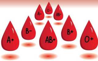 Какая редкая группа крови 1 4. Самая редкая группа крови у человека – мировая статистика
