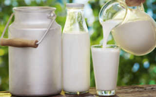 Чем отличается кефирный продукт от кефира. В чем отличия молочного напитка от молока, кефирного продукта от кефира? Мнения экспертов